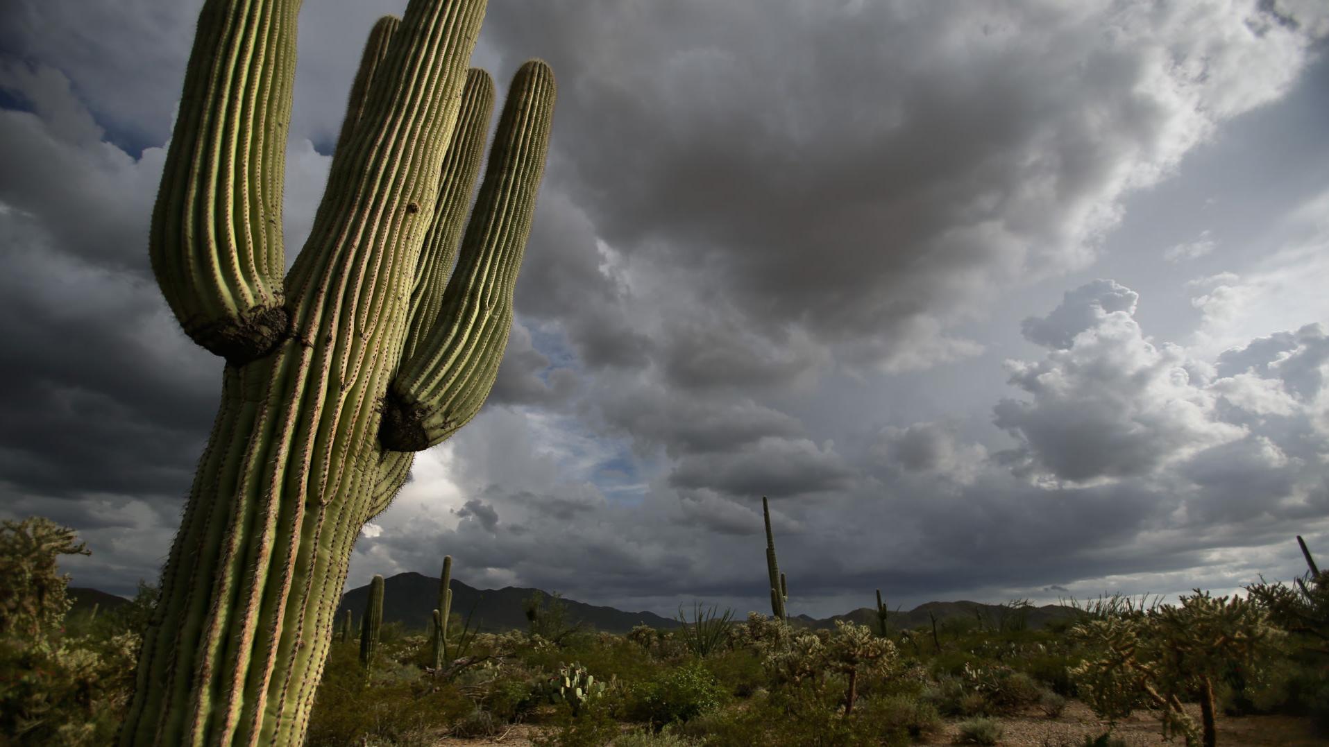 Tucson weather: Possibility of storms through Monday